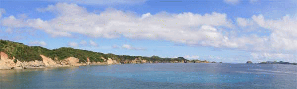 母島の壮大な景観と動植物 母島の壮大な景観と動植物